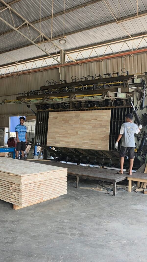 20260909_135802 Raw Rubber Wood Board 16MM(T) x 1220MM(W) x 2440MM(L) Finger Jointed Board Papan Kayu Getah