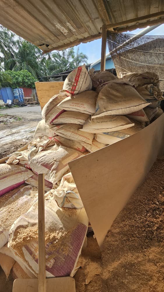 Rubber Wood Shavings 5kg Wood Saw Dust Habuk Kayu Getah