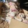 Rubber Wood Shavings 5kg Wood Saw Dust Habuk Kayu Getah