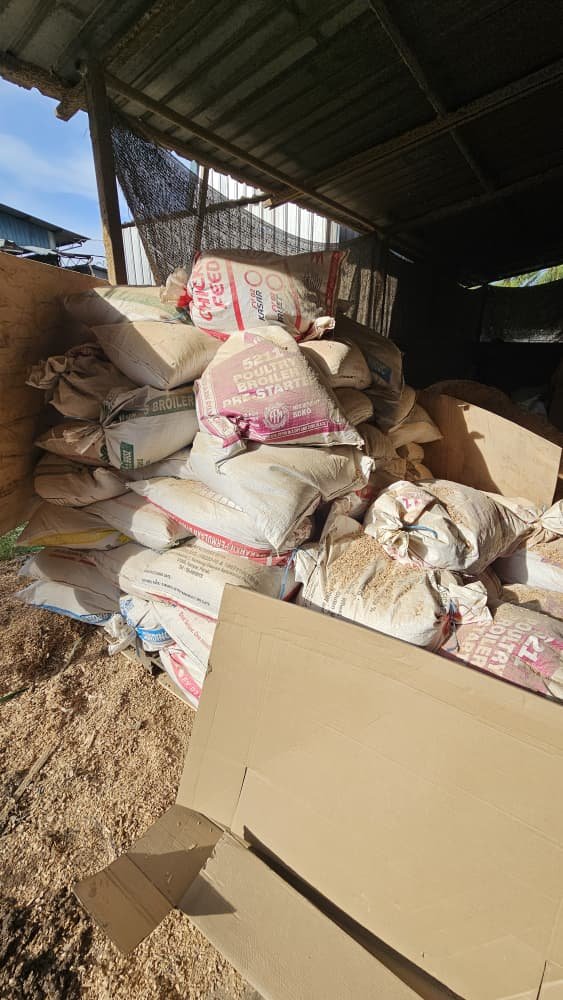 Rubber Wood Shavings 5kg Wood Saw Dust Habuk Kayu Getah