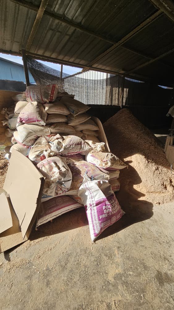 Rubber Wood Shavings 5kg Wood Saw Dust Habuk Kayu Getah